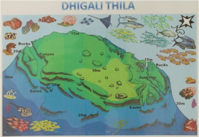 Dhigali Thila